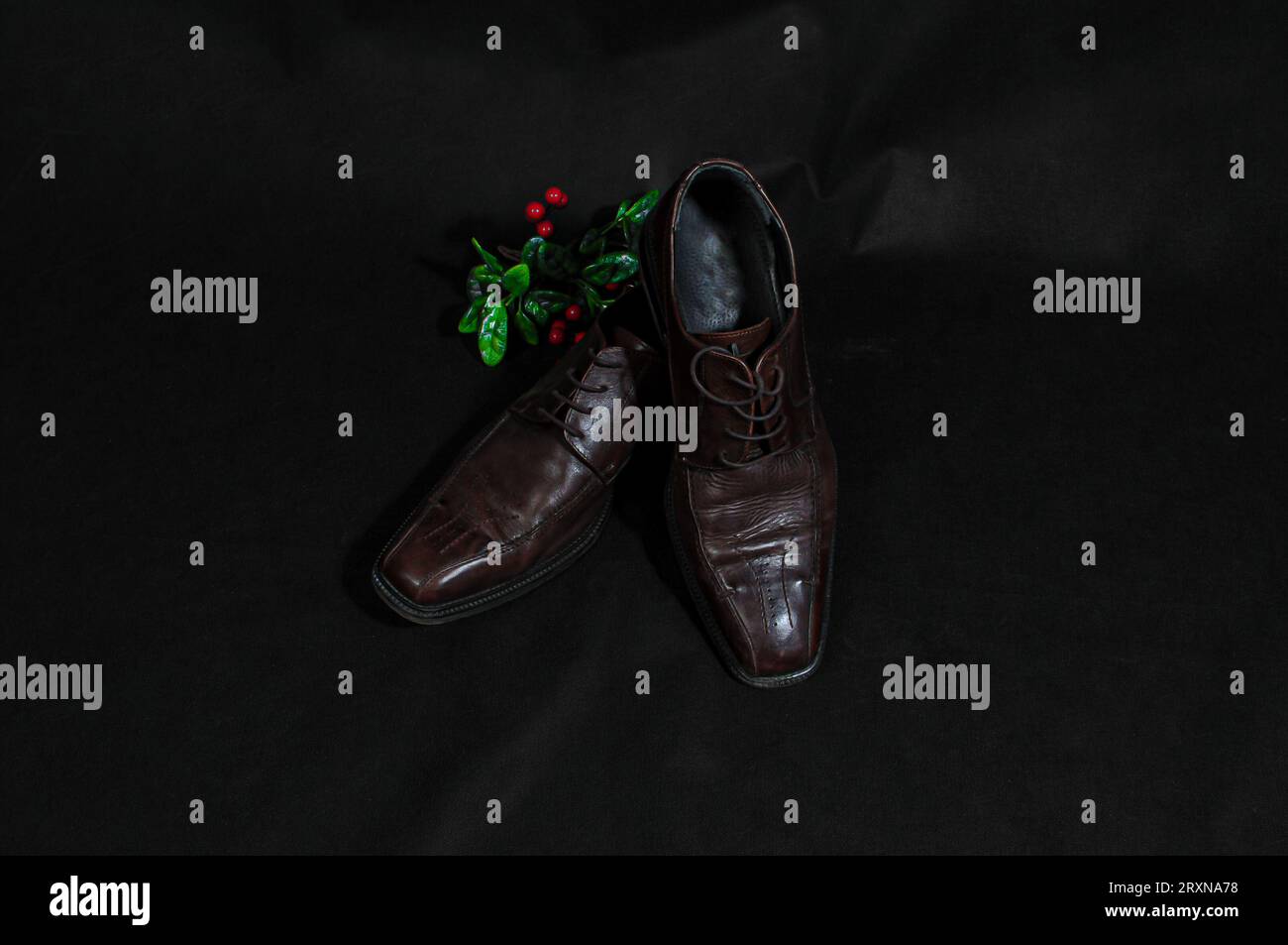 Brown leather mans shoes in a black background with red berries and green leaves. Stock Photo