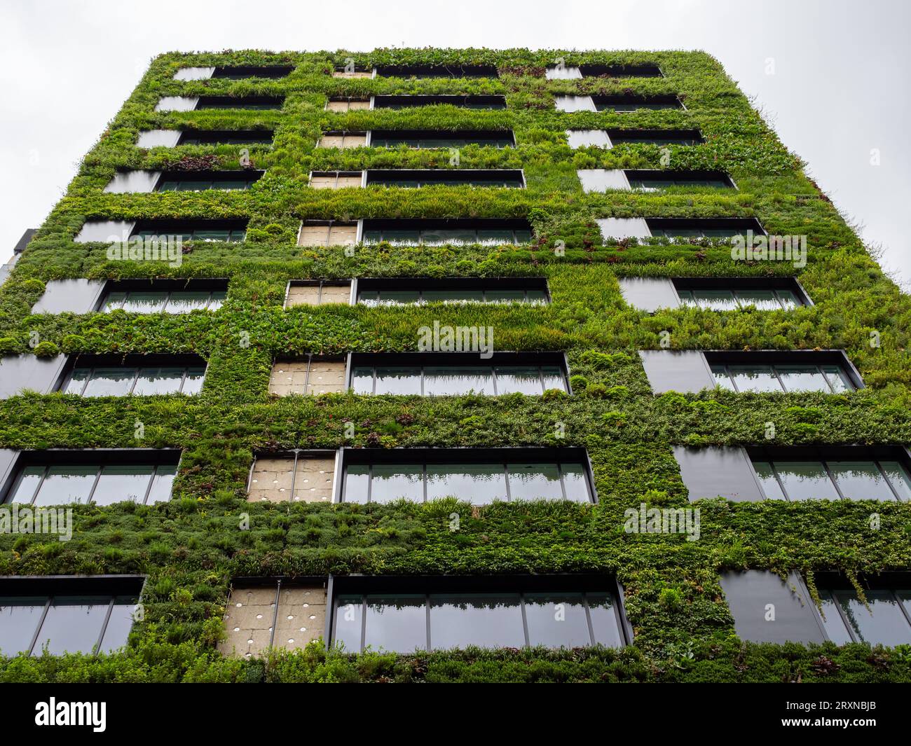 Modern new build office block with plants growing vertically on the