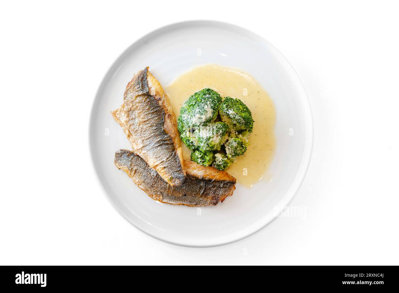 Dorado or sea bass fillet in cream sauce with broccoli on a white plate. High quality photo Stock Photo