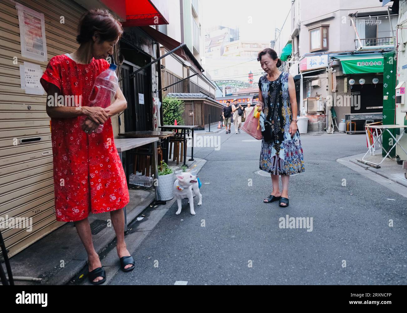 Two elderly Japanese woman look at a dog in a backstreet in  Asakusa,Tokyo, Japan Stock Photo