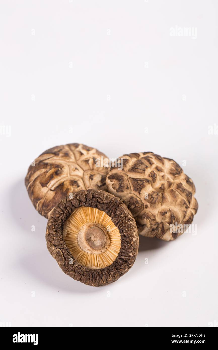 Dried flower mushroom, Dried shiitake mushrooms, food drying Stock Photo Alamy