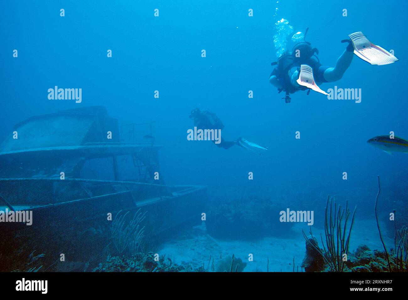 Scuba diver at the boat wreck Stock Photo