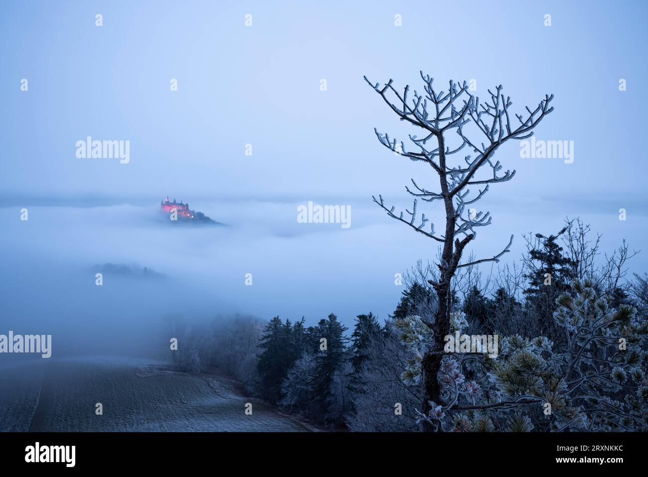 Hohenzollern Castle with Christmas lights in the fog from the Zeller Horn, Hechingen, Swabian Alb, Baden-Wuerttemberg, Germany Stock Photo