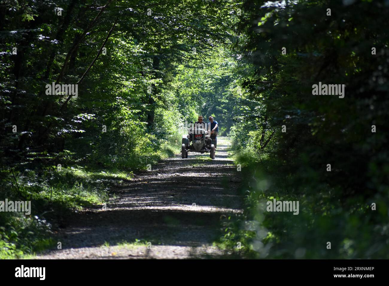 Excursion in the forest with a vintage tractor Eicher Diesel, Emmerting, Bavaria, Germany Stock Photo