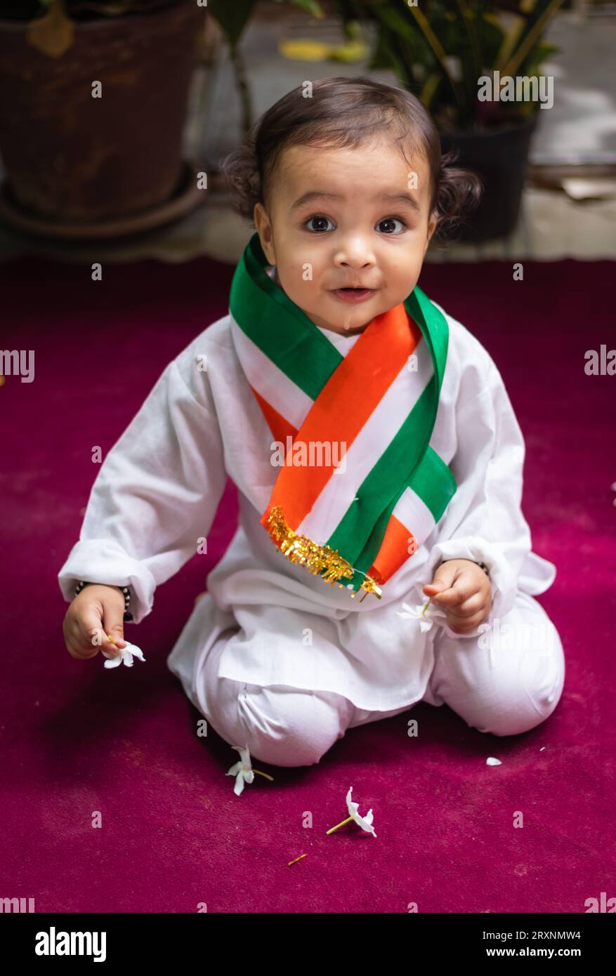 cute toddler holding indian tricolor flag in traditional cloth with innocent facial expression Stock Photo