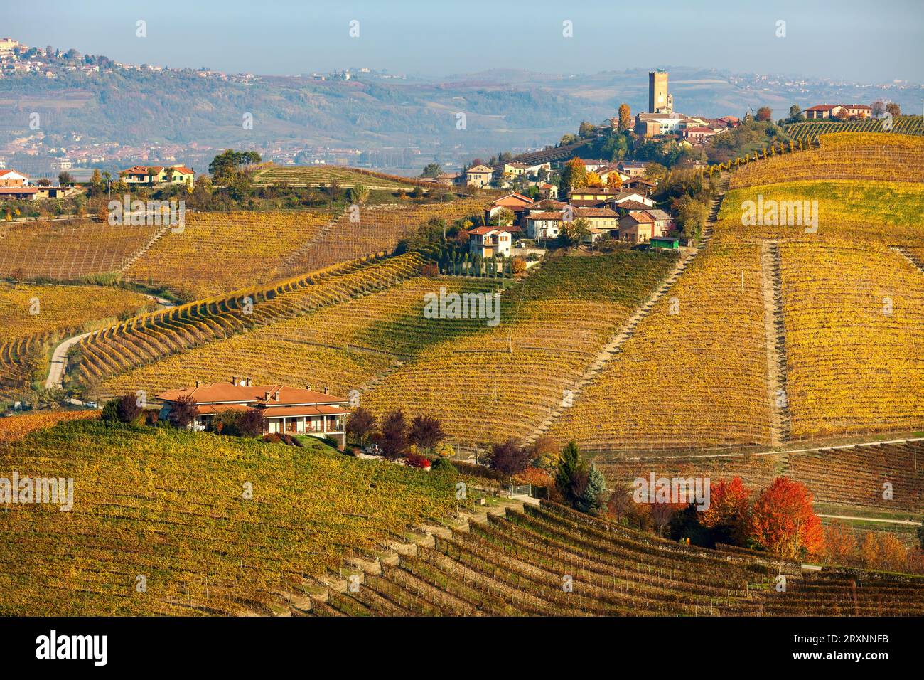 View of the autumnal vineyards and rural houses on the hills near Barbaresco in Piedmont, Italy. Stock Photo