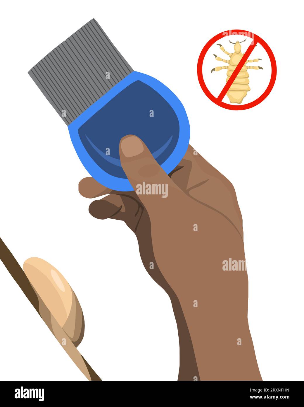 Vector isolated illustration of comb to remove nits. Combing nits. A