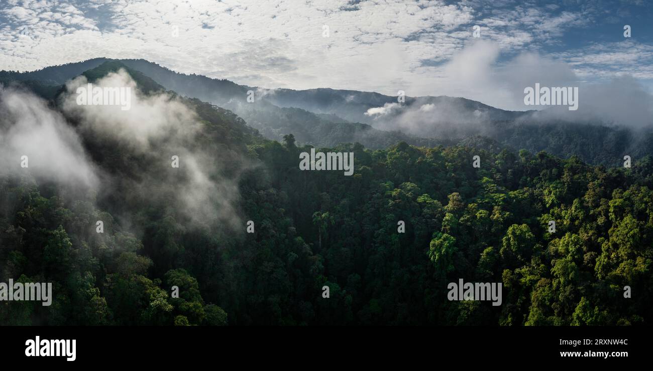 Drone view of tropical forest in Mashpi Amagusa Reserve, Pichincha Province, Ecuador Stock Photo