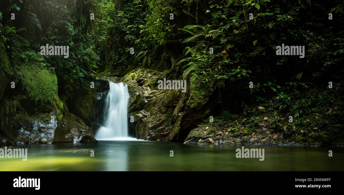 Waterfall in Mashpi Amagusa Reserve, Pichincha Province, Ecuador Stock Photo