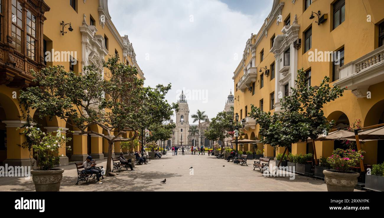 Trees and benches along street in residential district, Lima, Lima Province, Peru Stock Photo