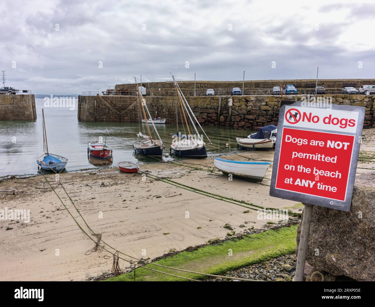 Beach dogs permitted hi-res stock photography and images - Alamy