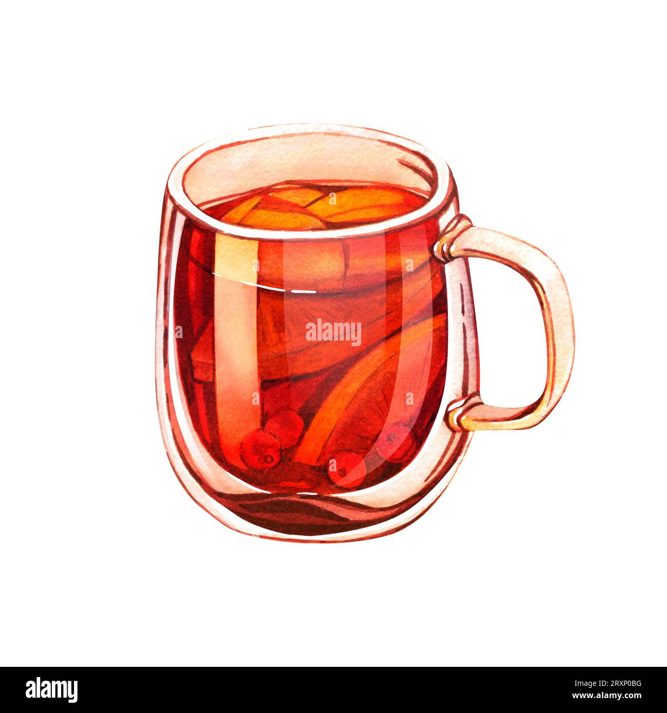 Watercolor fruit cup of hot orange tea with cinnamon, cranberries