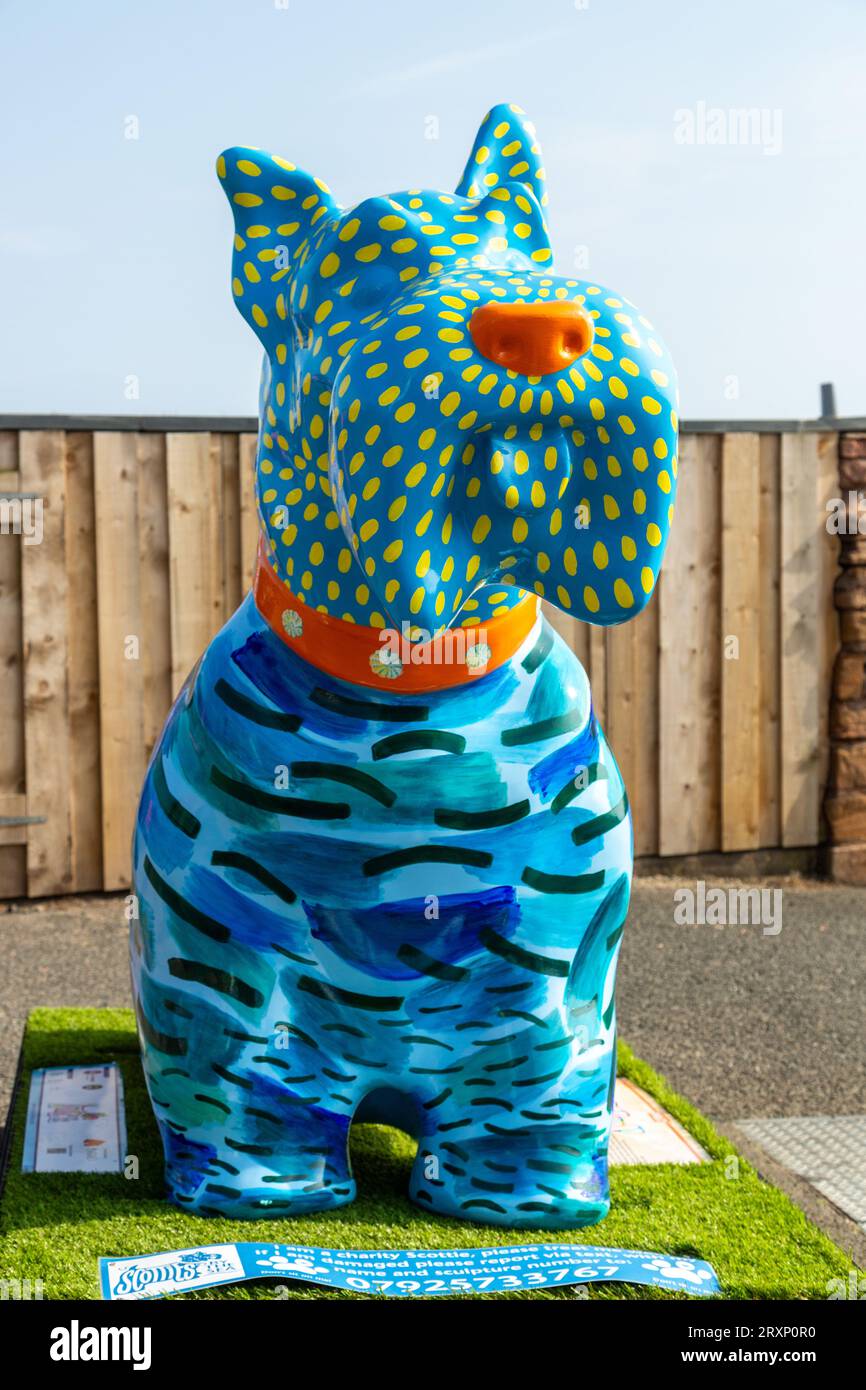 Sun sea & Sand Scottie Dog by Louise Kirby in Crail Harbour, Fife Stock