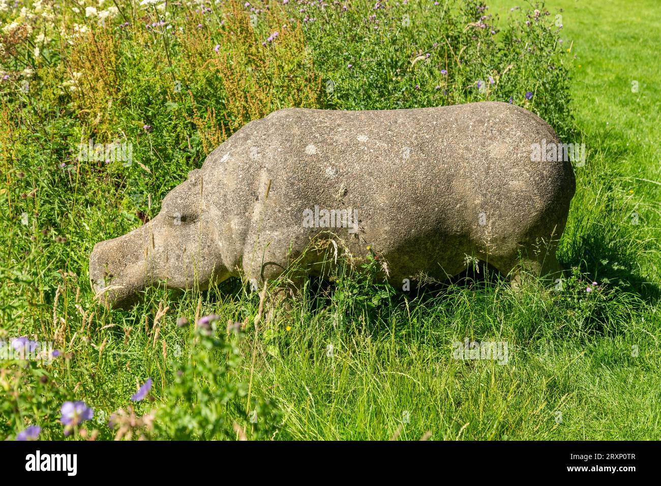 Pond Hippo Statue in Riverside Park Glenrothes, Fife, Scotland Stock Photo
