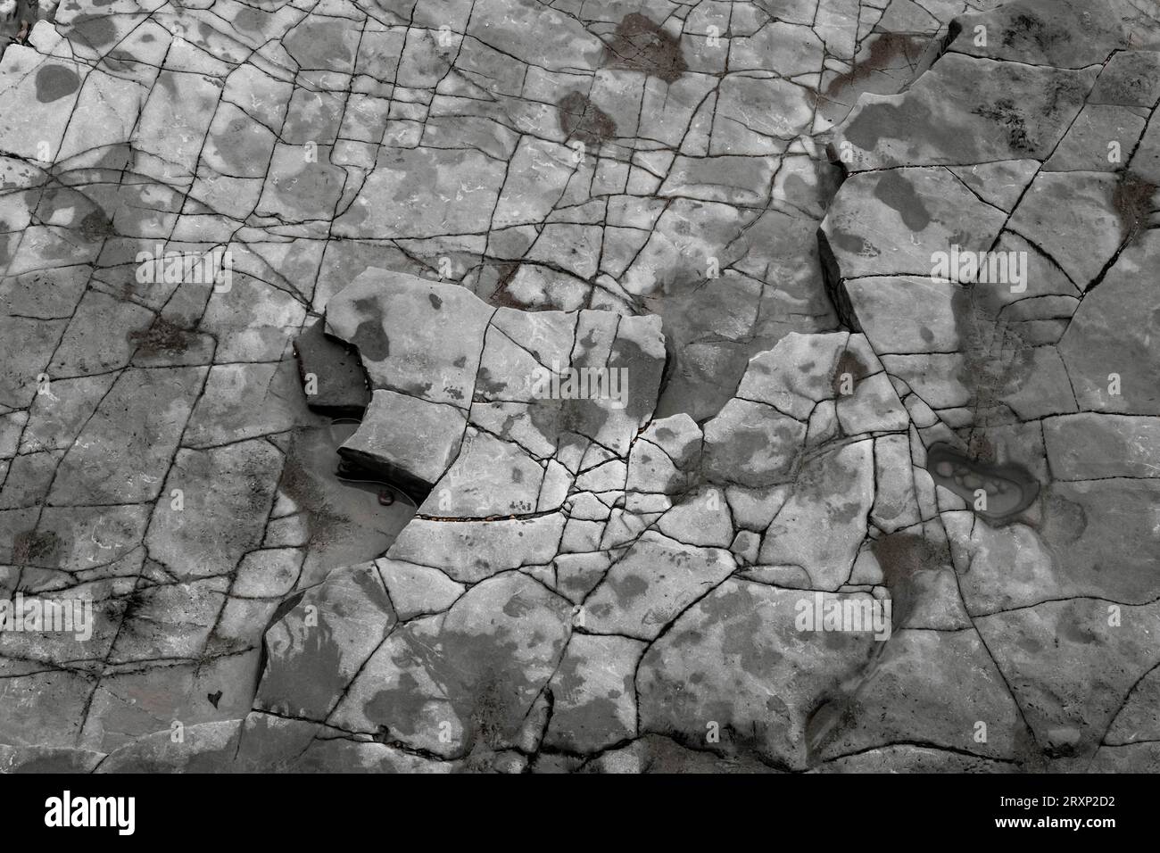 Cracked and dried mud surface creating natural geometric patterns Stock Photo