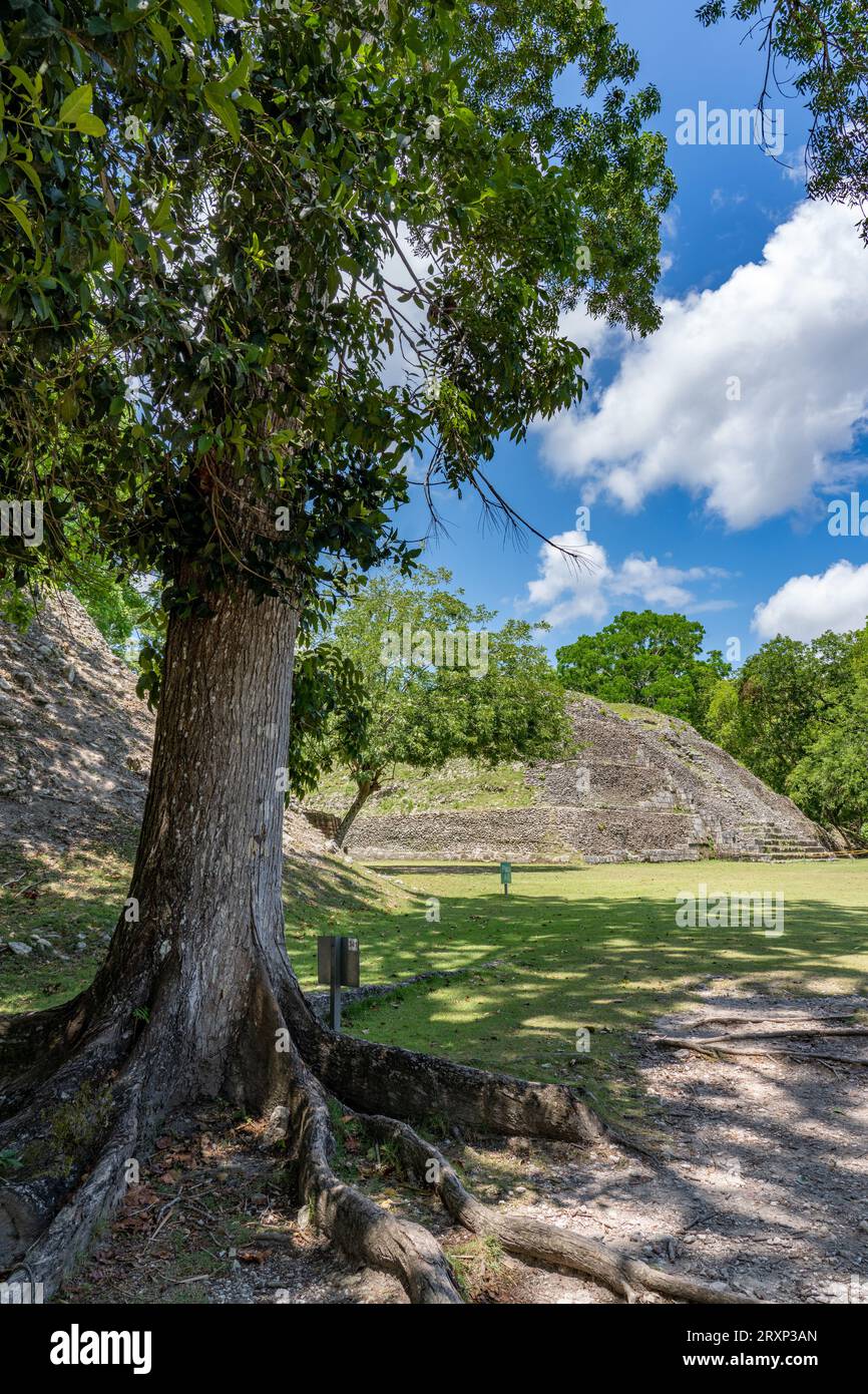 the Xunantunich Archeological Reserve in Belize Stock Photo Alamy