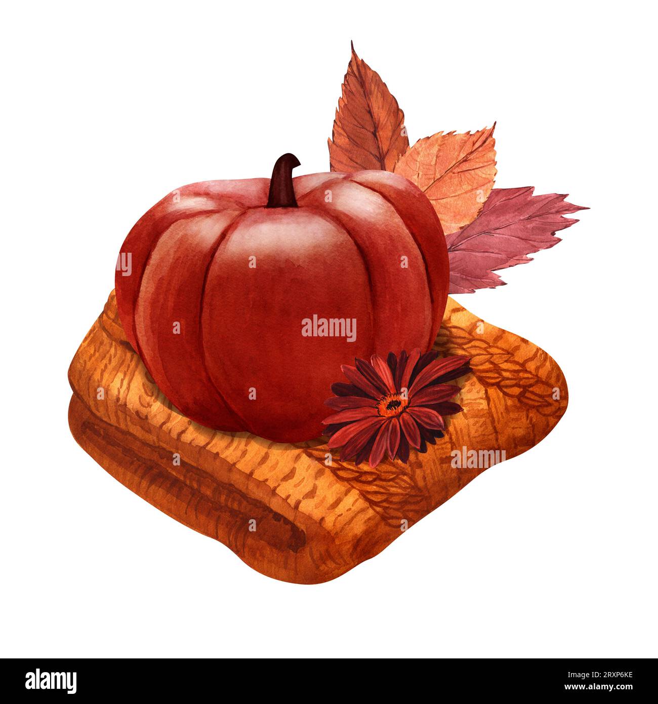 Orange Sweater Pumpkin main image 0