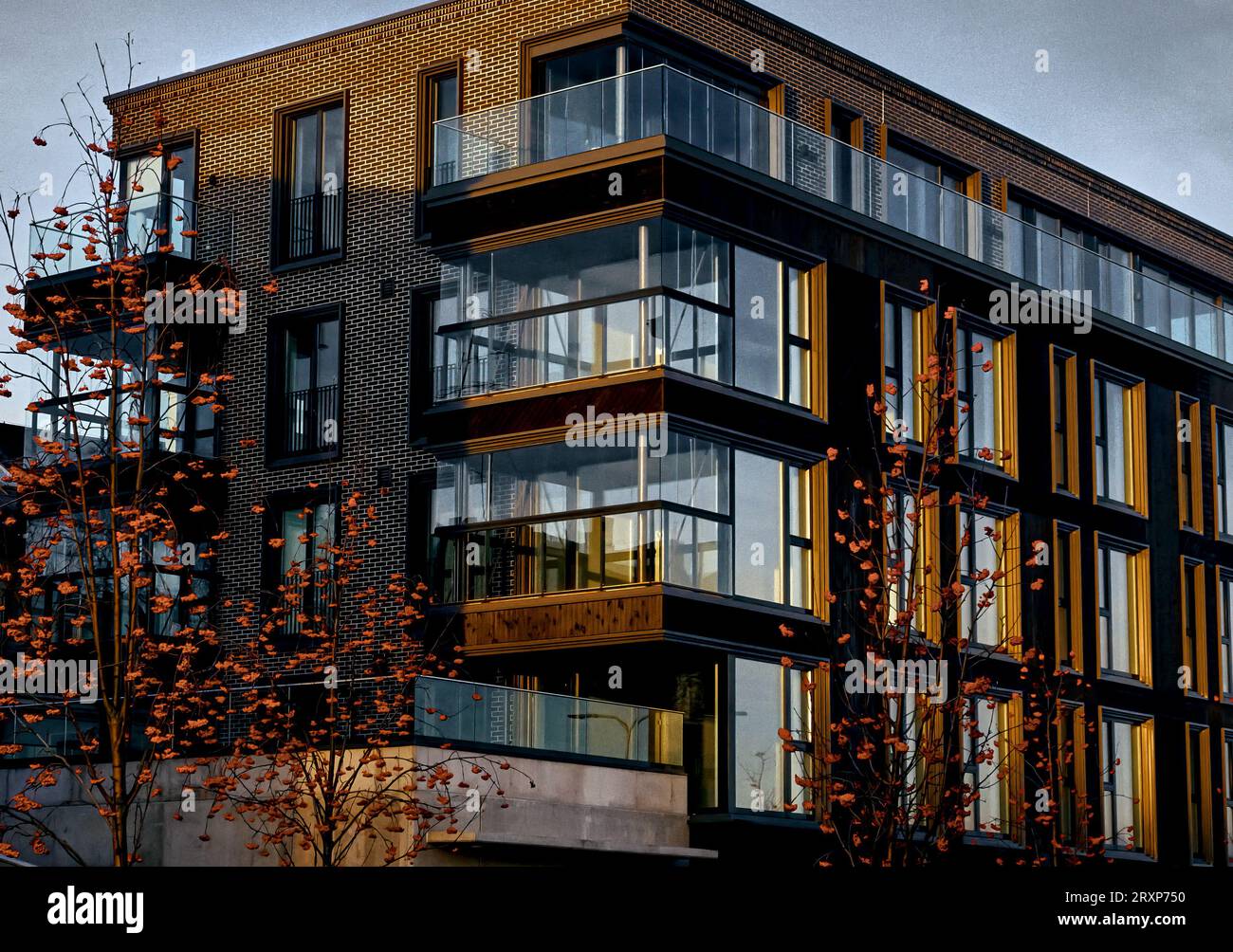 European modern residential apartment buildings complex condo real