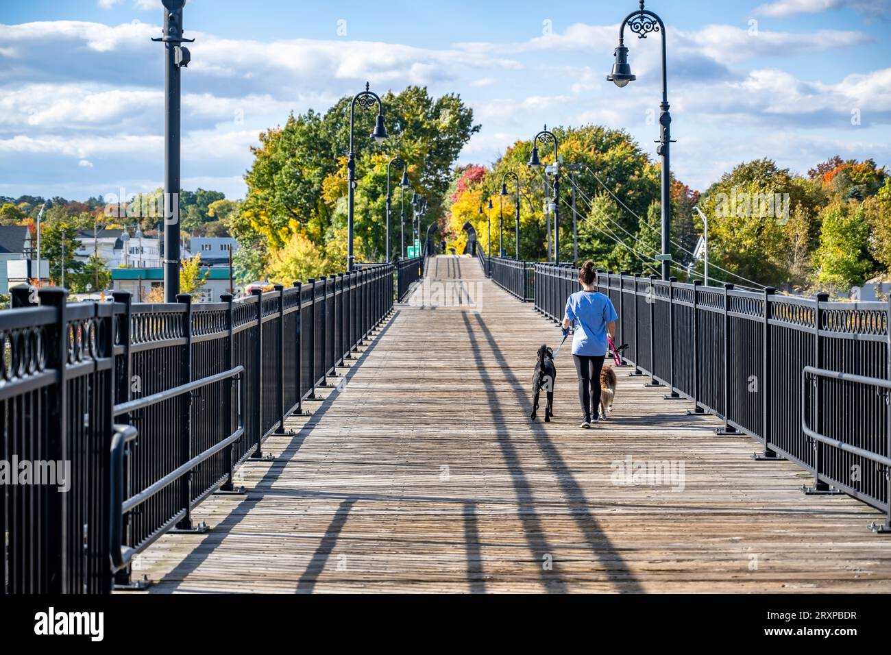 An elegant young girl in sportswear walks her playful dogs on a leash walking her dogs on a leash walks along a footbridge with wood surface in the ur Stock Photo