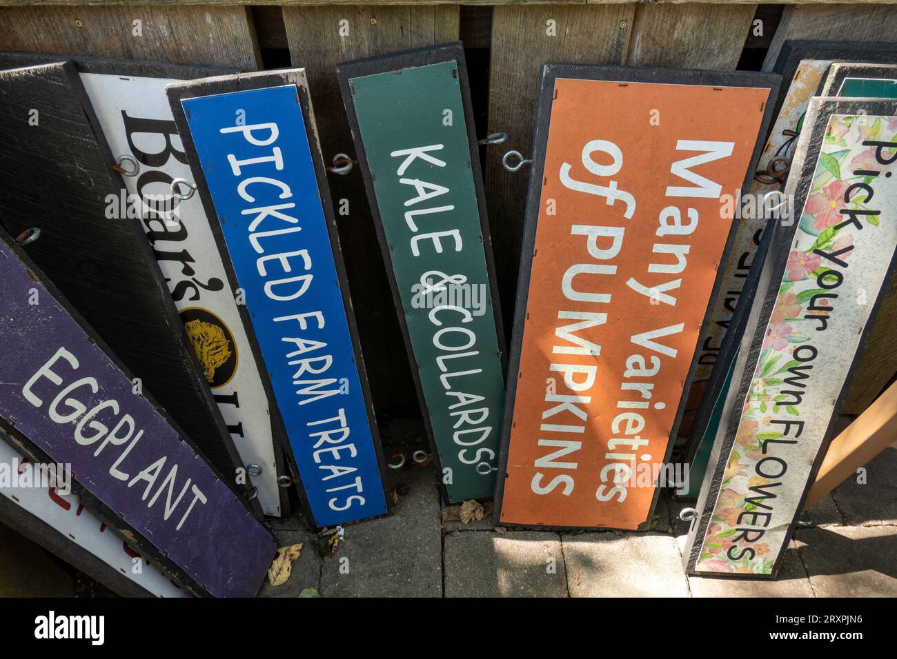 Ward's berry farm is a fun family destinations in the autumn months