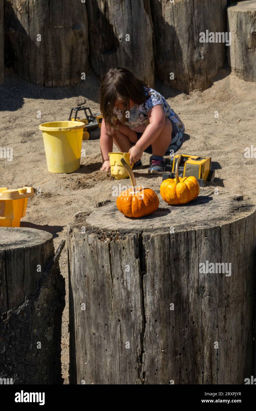 Ward's berry farm is a fun family destinations in the autumn months
