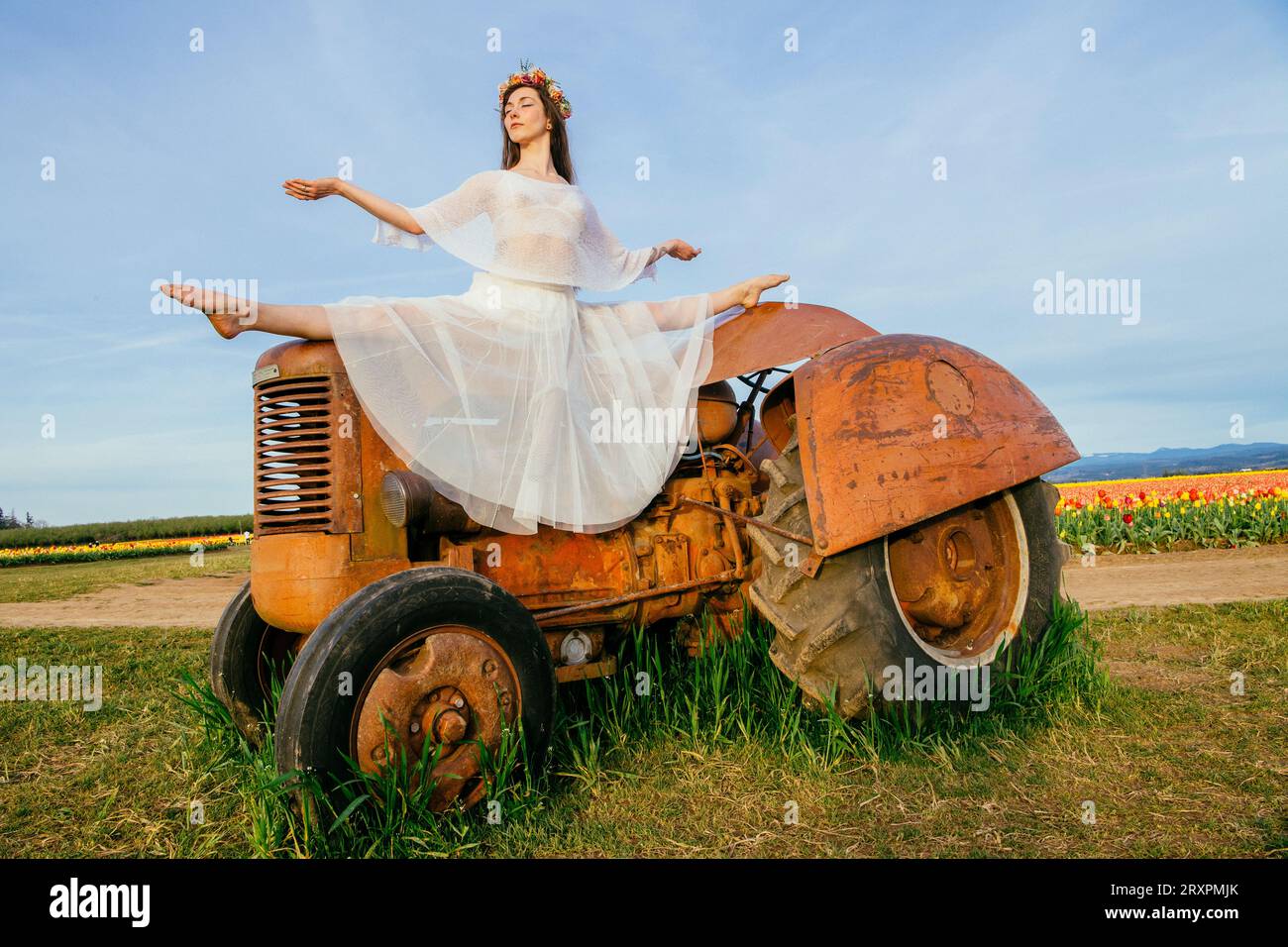 Woman doing split on top of tractor standing in vast tulip field Stock Photo