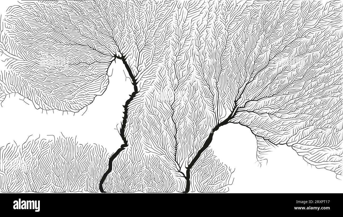 Branching growth pattern Stock Vector Images - Alamy