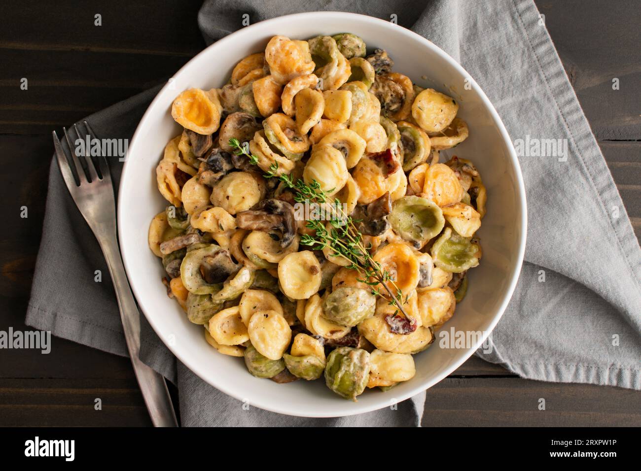 Orecchiette with Mushroom Thyme Sauce in a Pasta Bowl Pasta and