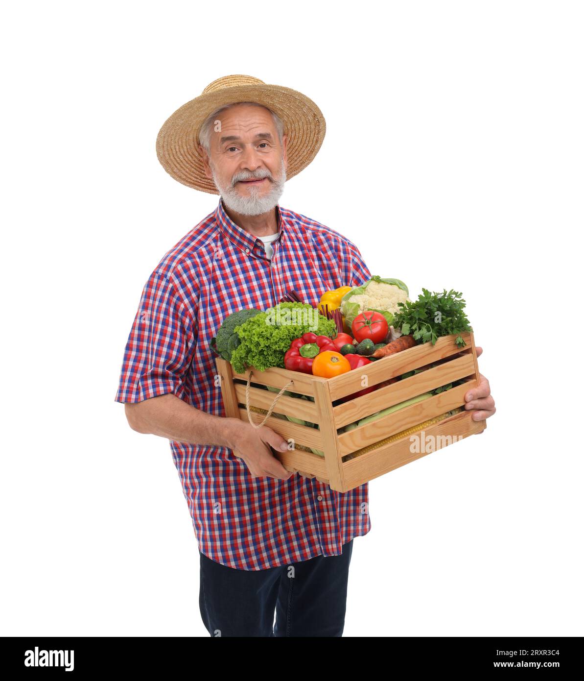 Harvesting season. Farmer holding wooden crate with vegetables on white ...