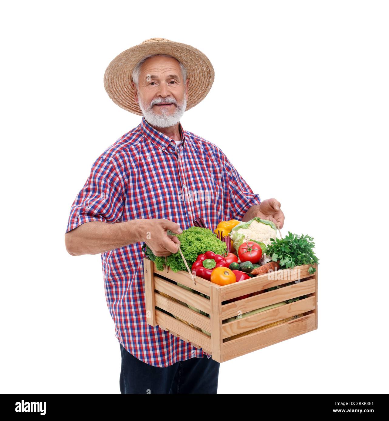 Harvesting season. Farmer holding wooden crate with vegetables on white ...