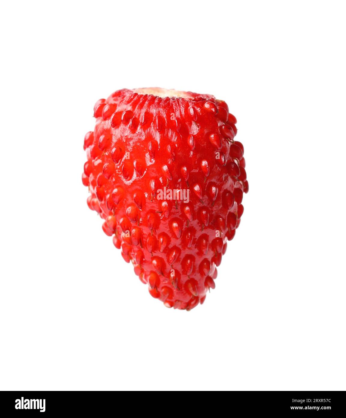 One ripe wild strawberry isolated on white Stock Photo - Alamy