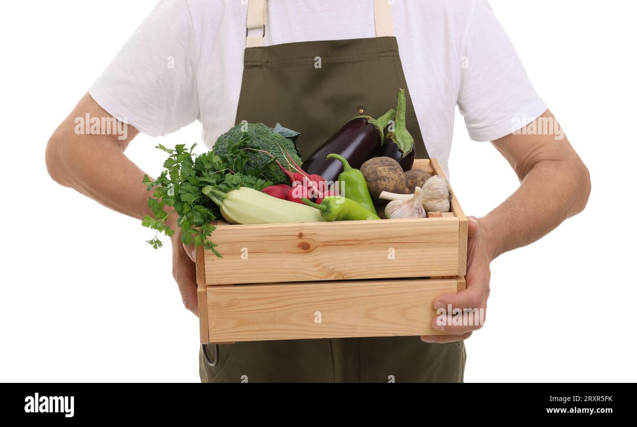 Harvesting season. Farmer holding wooden crate with vegetables on white ...