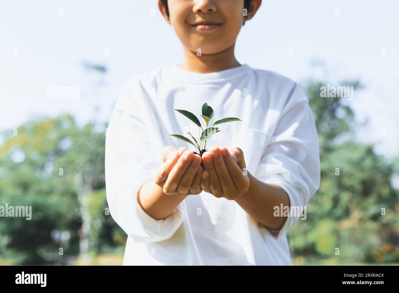 Promoting eco awareness on reforestation and long-term environmental 