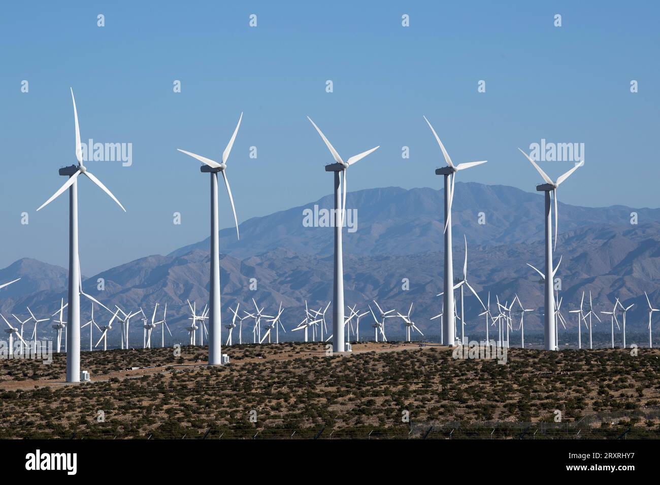 Some of the over 1200 commercial wind turbines on the San Pass