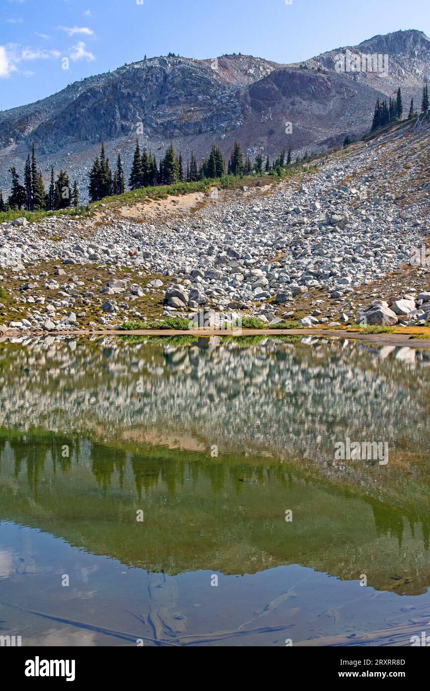 High harmony hi-res stock photography and images - Alamy
