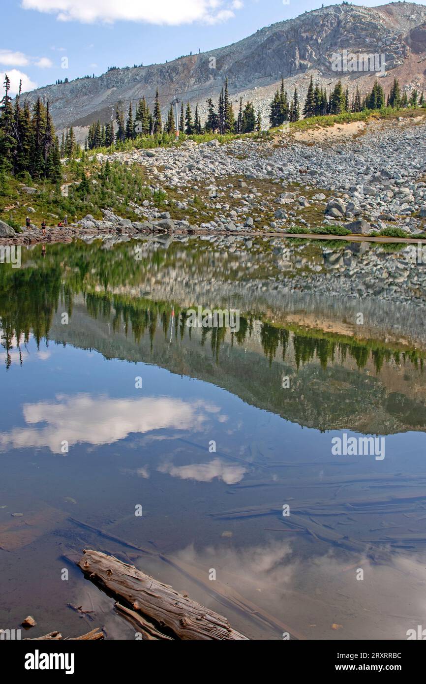 High harmony hi-res stock photography and images - Alamy
