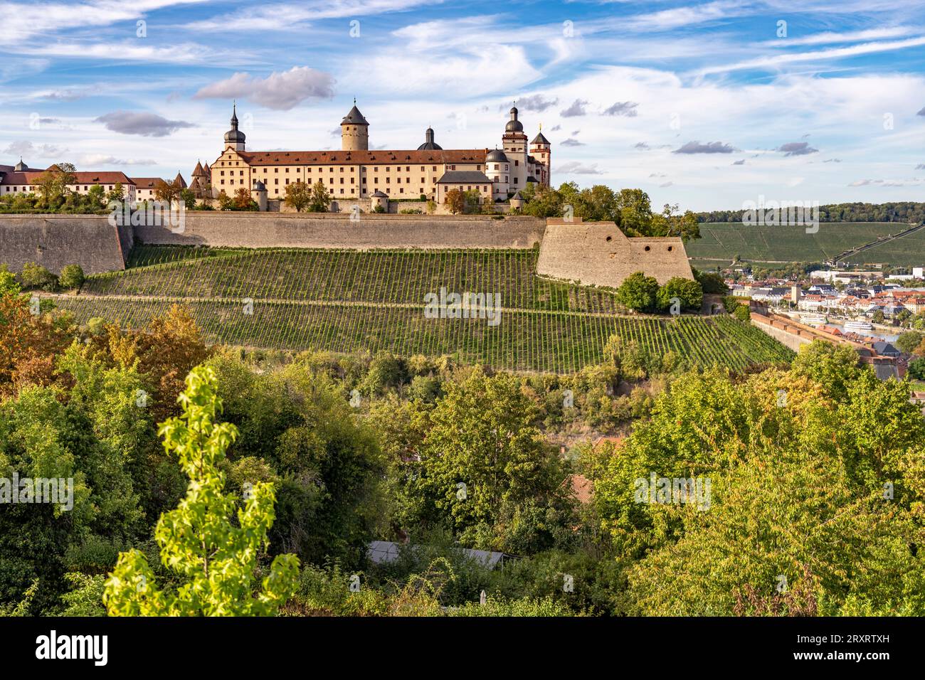 Die Festung Marienberg und Weinberge in Würzburg, Bayern, Deutschland  |  Marienberg Fortress and vineyards in Wuerzburg, Bavaria, Germany Stock Photo