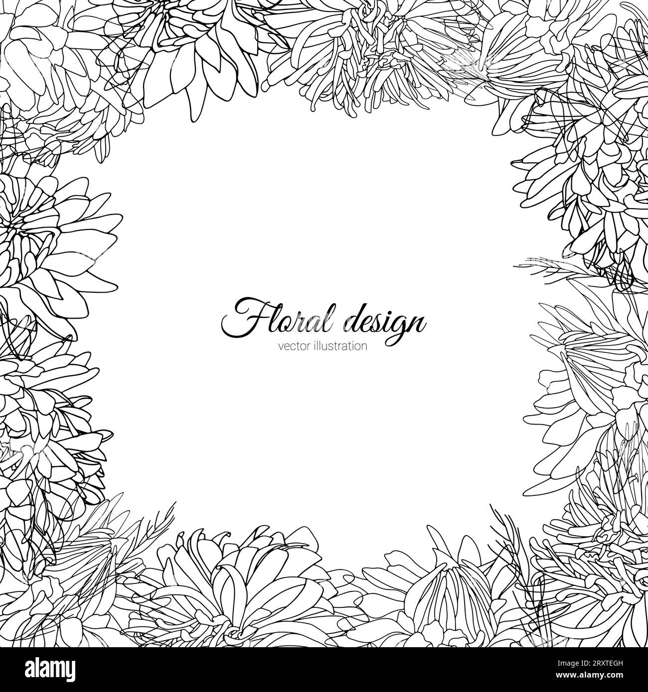 Asters bloom Black and White Stock Photos & Images - Alamy