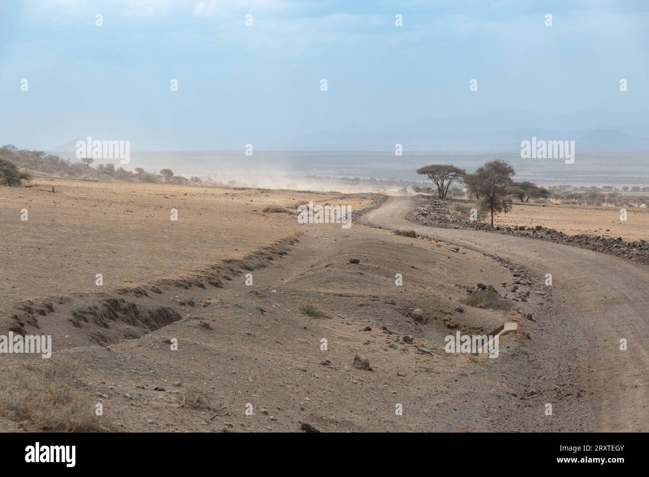 Landscape of Serengeti National Park, Tanzania Stock Photo