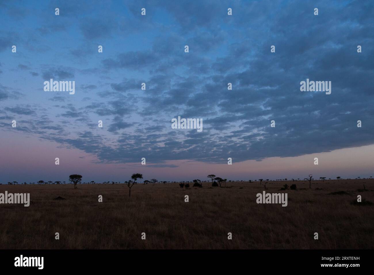 Stunning sunrise in Serengeti, Tanzania, Africa Stock Photo