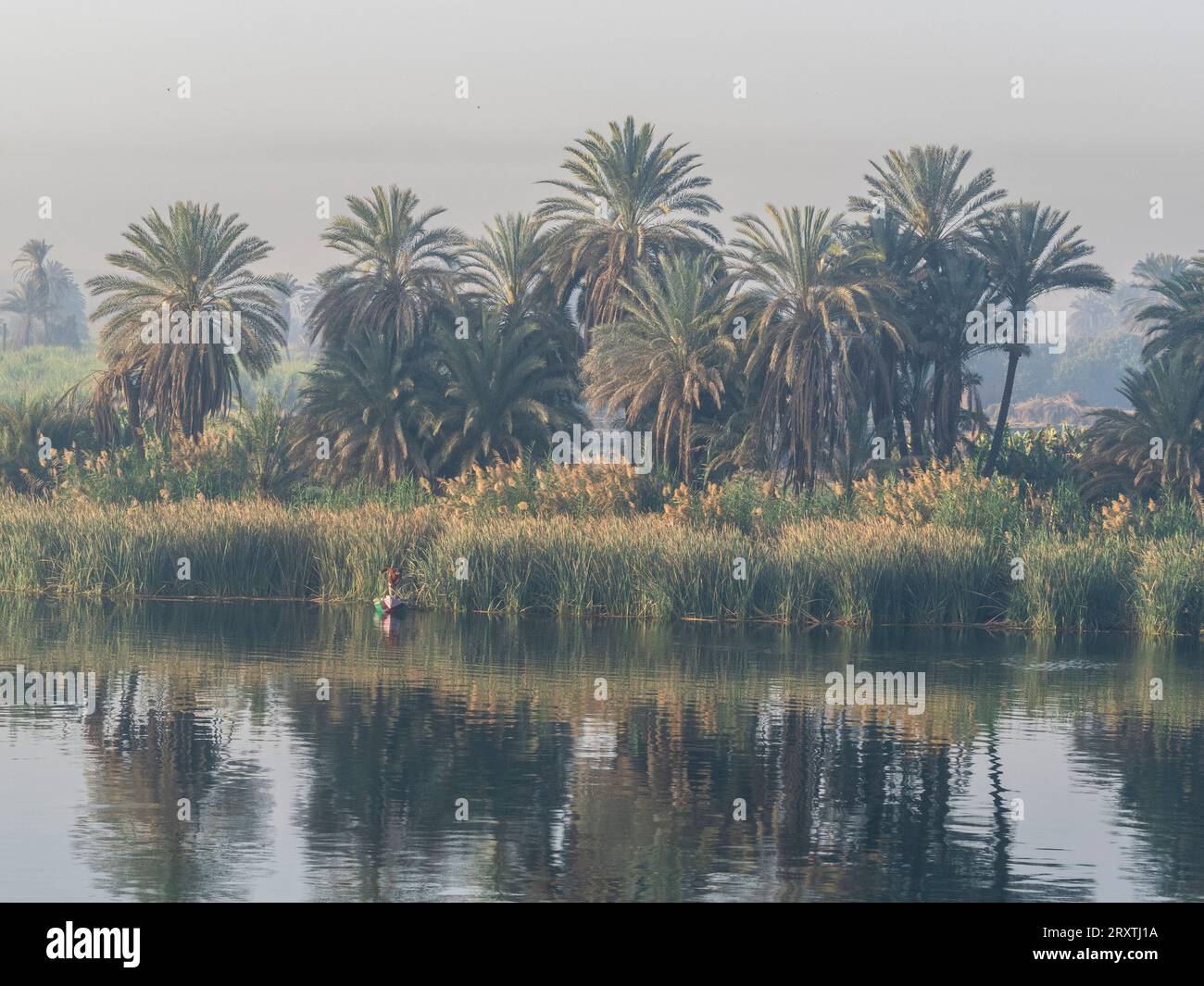 A fisherman in a small boat along the upper Nile River, amongst some of the most verdant land along the river, Egypt, North Africa, Africa Stock Photo