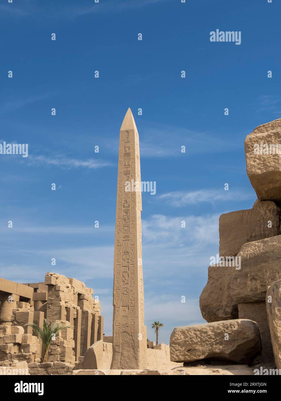 Oobelisk of Thutmosis I, Karnak Temple Complex, comprises a vast mix of temples, pylons, and chapels, UNESCO World Heritage Site, near Luxor, Thebes Stock Photo