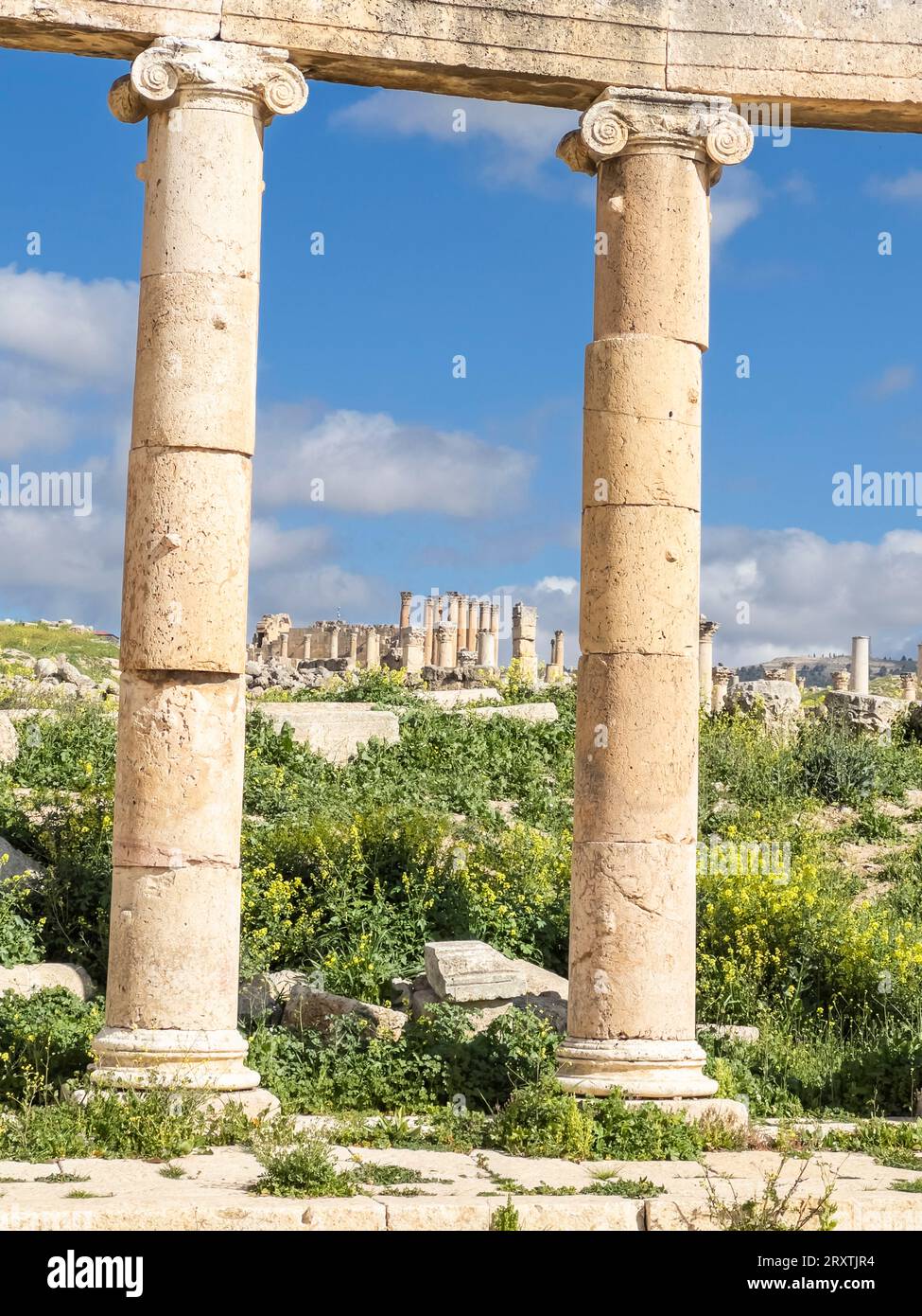 Columns in the Oval Plaza in the ancient city of Jerash, believed to be founded in 331 BC by Alexander the Great, Jerash, Jordan, Middle East Stock Photo