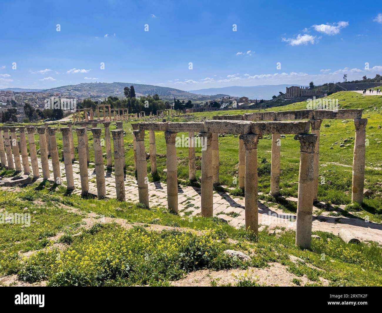 Columns line a street in the ancient city of Jerash, believed to be founded in 331 BC by Alexander the Great, Jerash, Jordan, Middle East Stock Photo