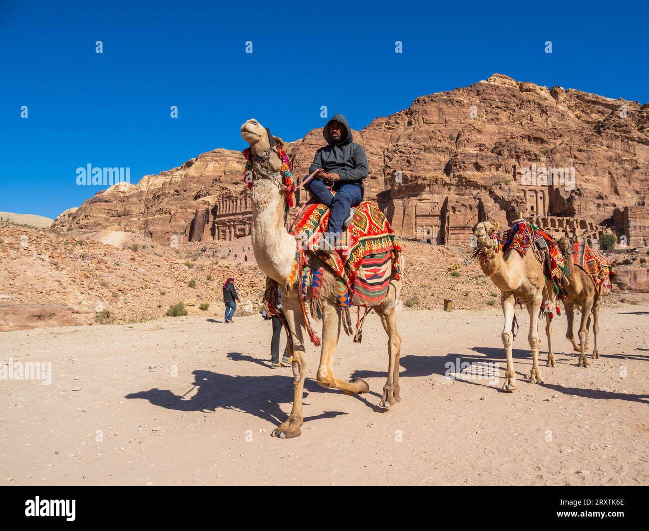 Camel and rider, Petra Archaeological Park, UNESCO World Heritage Site, one of the New Seven Wonders of the World, Petra, Jordan, Middle East Stock Photo