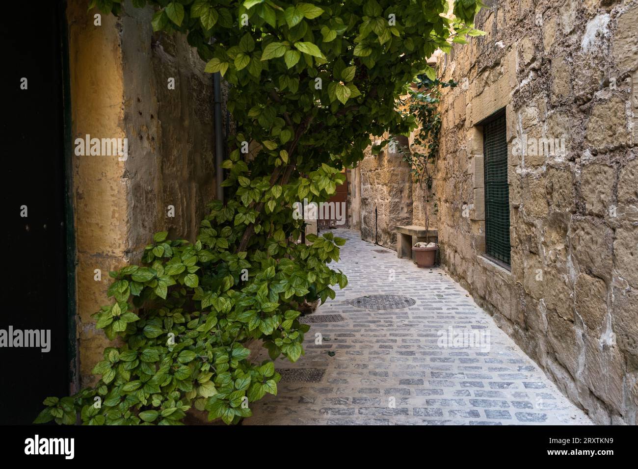 Gozo city, Malta Stock Photo