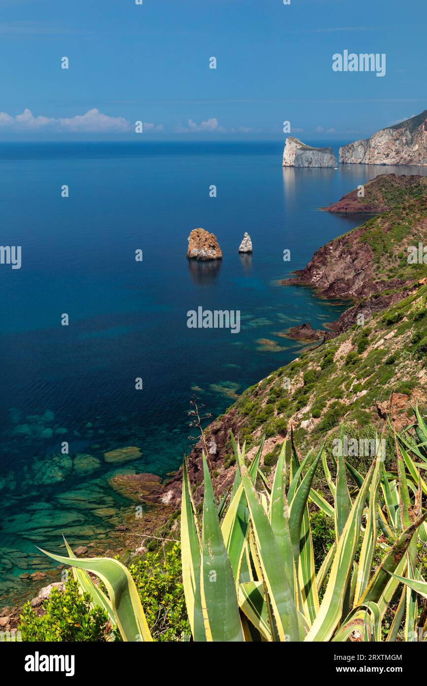 Costa Verde with Pan de Zucchero and Agusteri rock, Nebida, Sud Sardegna district, Sardinia, Italy, Mediterranean, Europe Stock Photo
