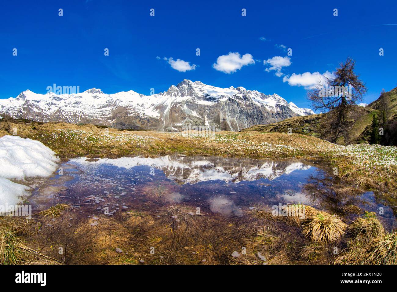 Snowcapped mountains reflected in a pristine lake in springtime, Fedoz valley, Bregaglia, Engadine, Canton of Graubunden, Switzerland, Europe Stock Photo