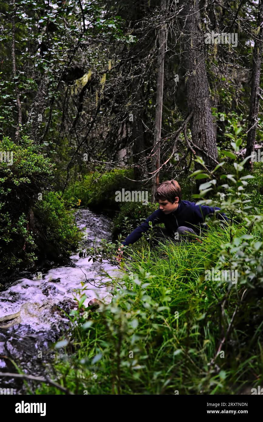 Side view of face of nine year old boy sitting kneeling with his hand reaching out touching white water mountain stream, in a fresh green dense forest Stock Photo