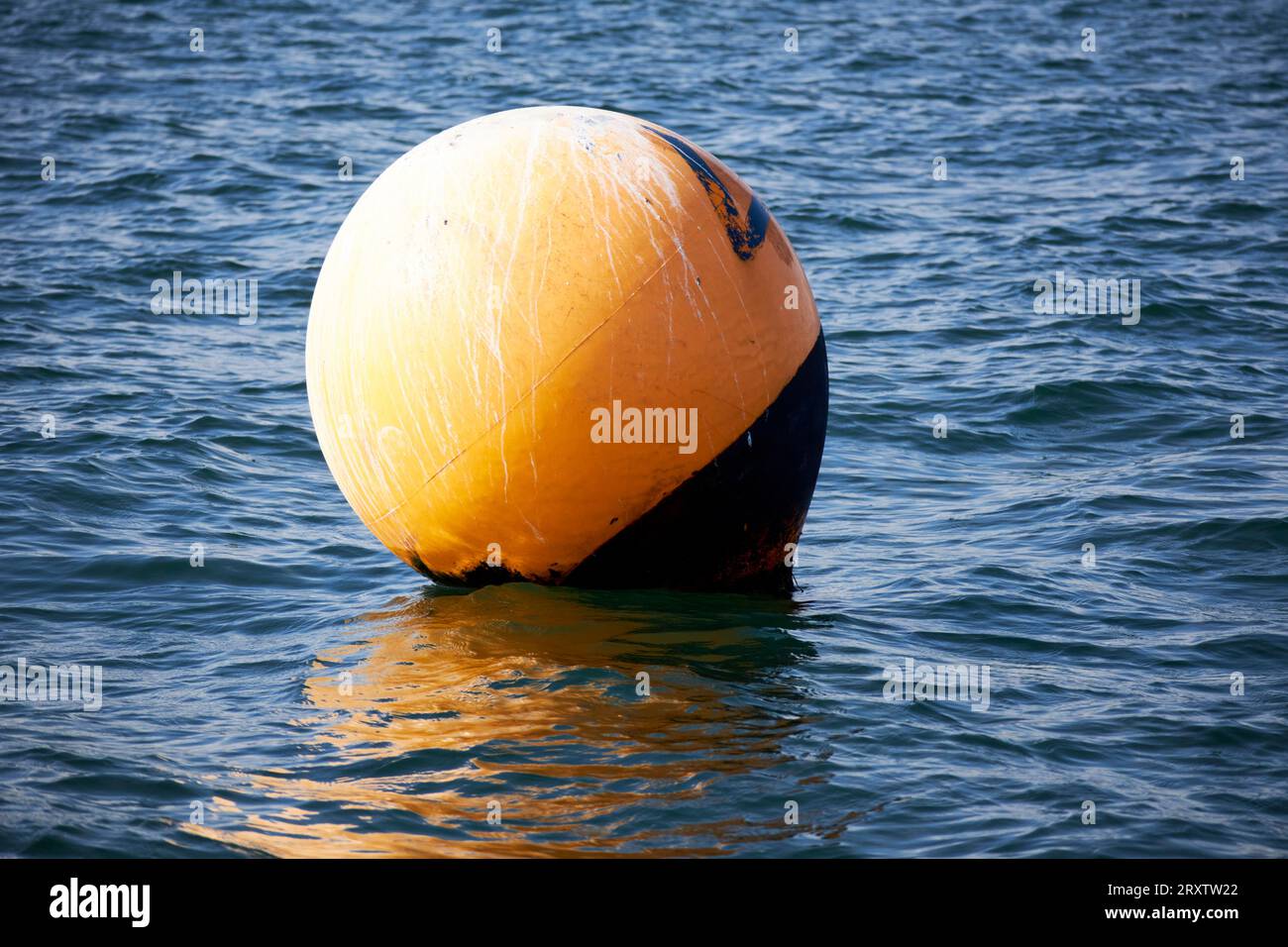 yellow marker buoy used by local sailing club as waypoint belfast lough
